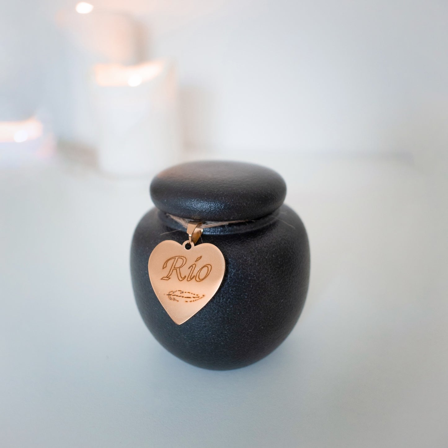 Tiny friends, lizards, birds, guinea pigs, snakes, mice, rats. personalised with gold heart. ceramic urn