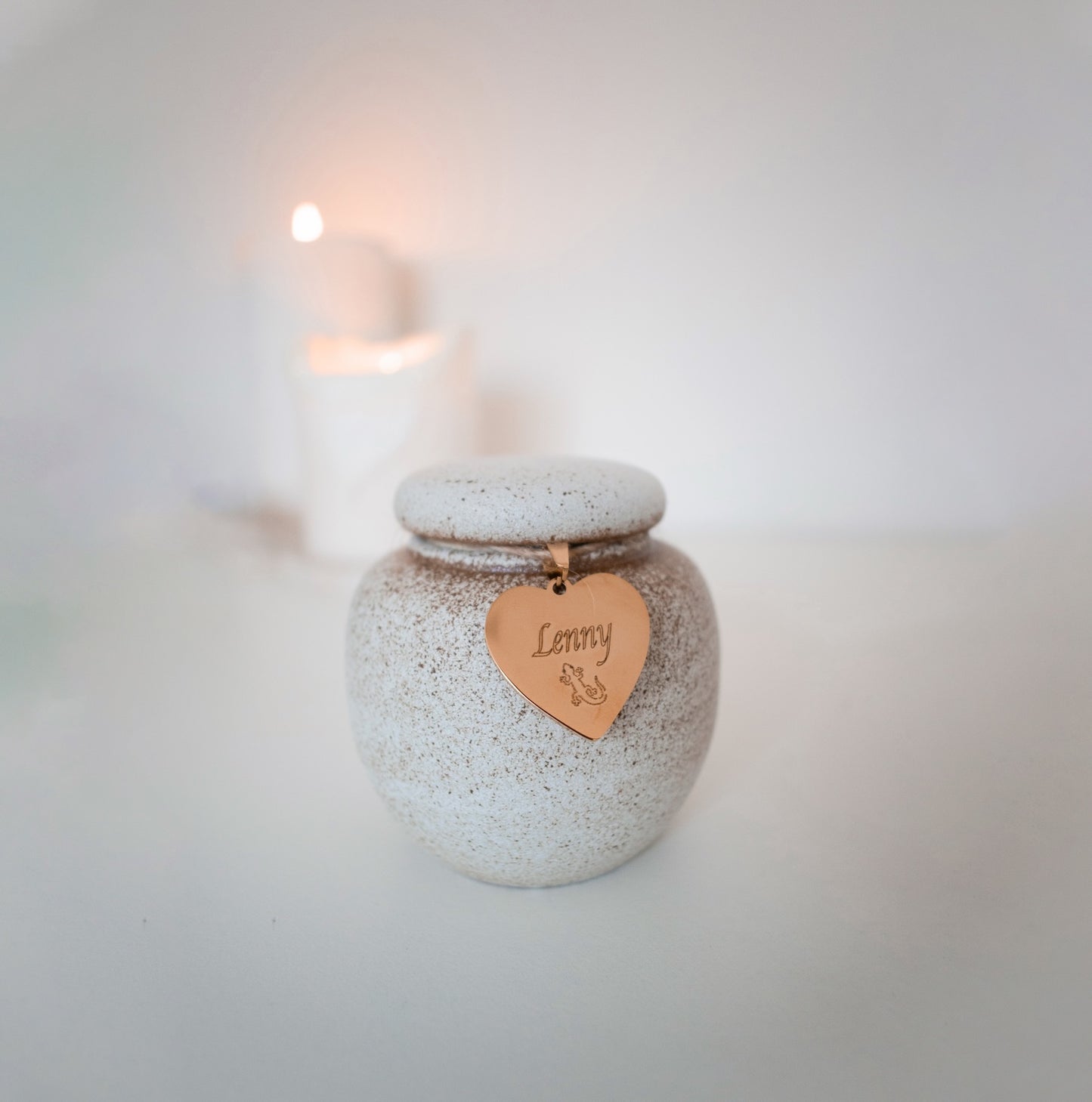 Tiny friends, lizards, birds, guinea pigs, snakes, mice, rats. personalised with gold heart. ceramic urn