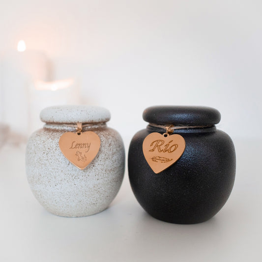 Tiny friends, lizards, birds, guinea pigs, snakes, mice, rats. personalised with gold heart. ceramic urn