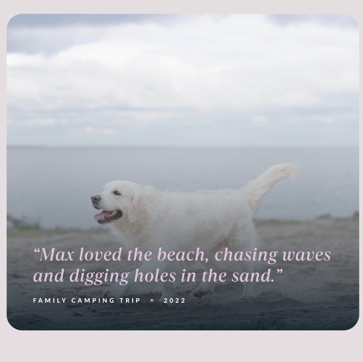 A photo of a happy white Golden Retriever named Max walking along a beach with the ocean and cloudy sky in the background. Overlaid text reads: “Max loved the beach, chasing waves and digging holes in the sand.” Below that, it says “Family Camping Trip • 2022.” The image has a soft, sentimental tone, commemorating a cherished memory with a beloved pet.