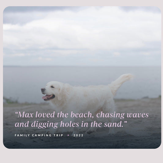 A photo of a happy white Golden Retriever named Max walking along a beach with the ocean and cloudy sky in the background. Overlaid text reads: “Max loved the beach, chasing waves and digging holes in the sand.” Below that, it says “Family Camping Trip • 2022.” The image has a soft, sentimental tone, commemorating a cherished memory with a beloved pet.